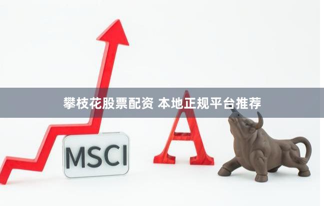 攀枝花股票配资 本地正规平台推荐